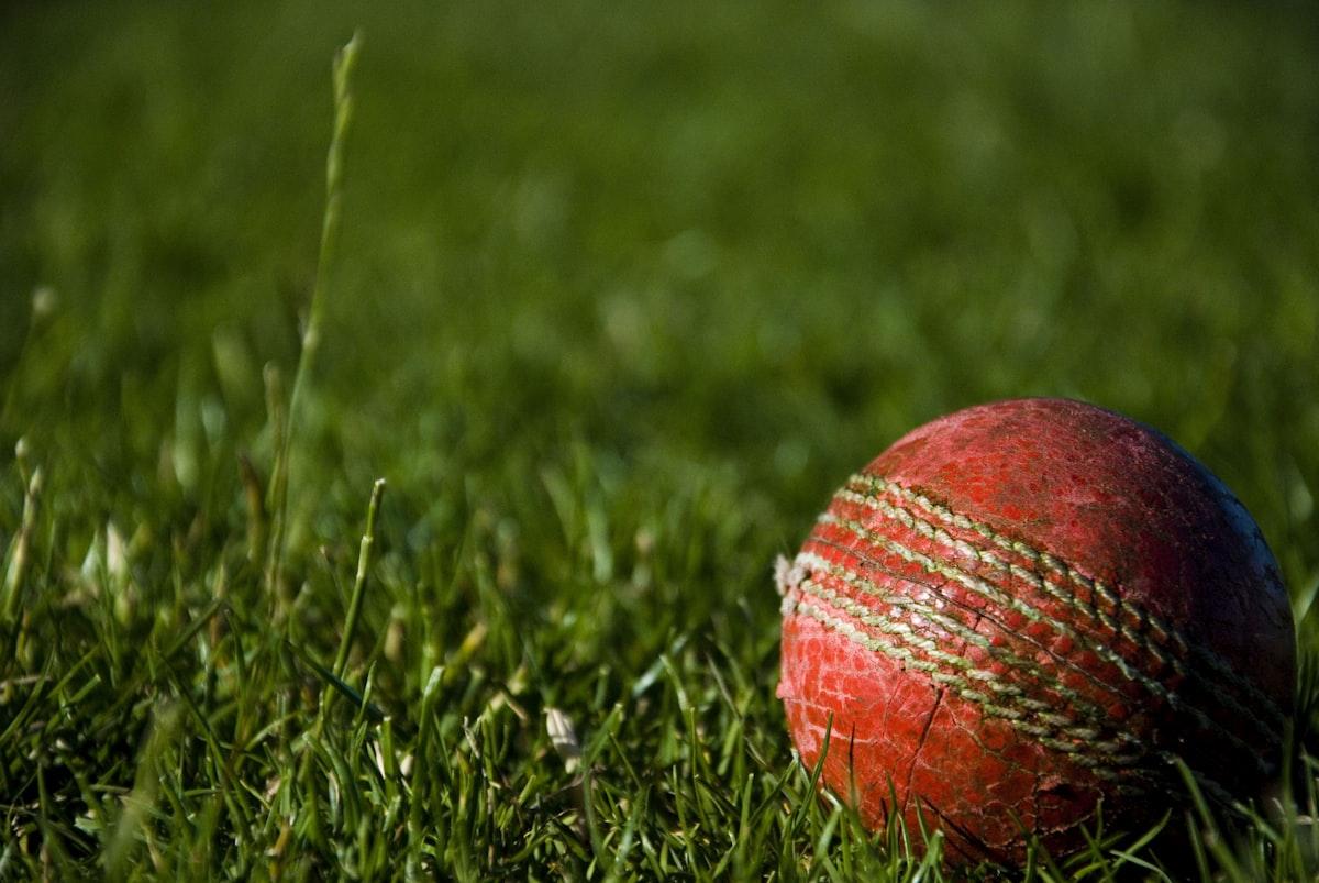 Meet the Coaches: How IPL Veterans Ended Up Training Kids in Elkton, MD