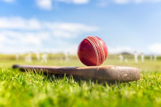 Cricket Training for Beginners in Maryland: Everything You Need to Know